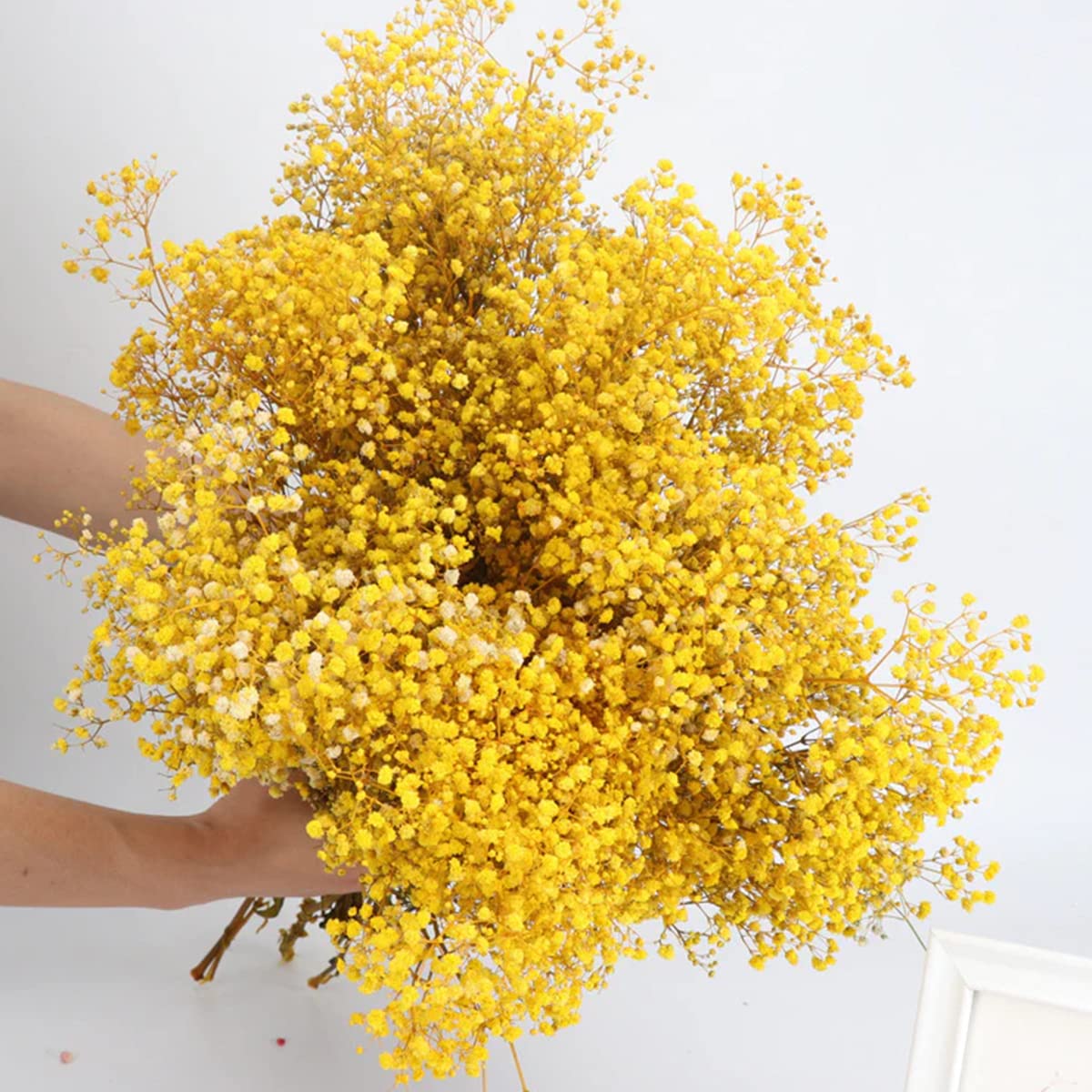 Beerfingo Dried-Flowers-Babys-Breath-Bouquet 17.2 Inches 2500+ Flowers, Natural Gypsophila, Dry Flowers Bulk For Vase Home Decor