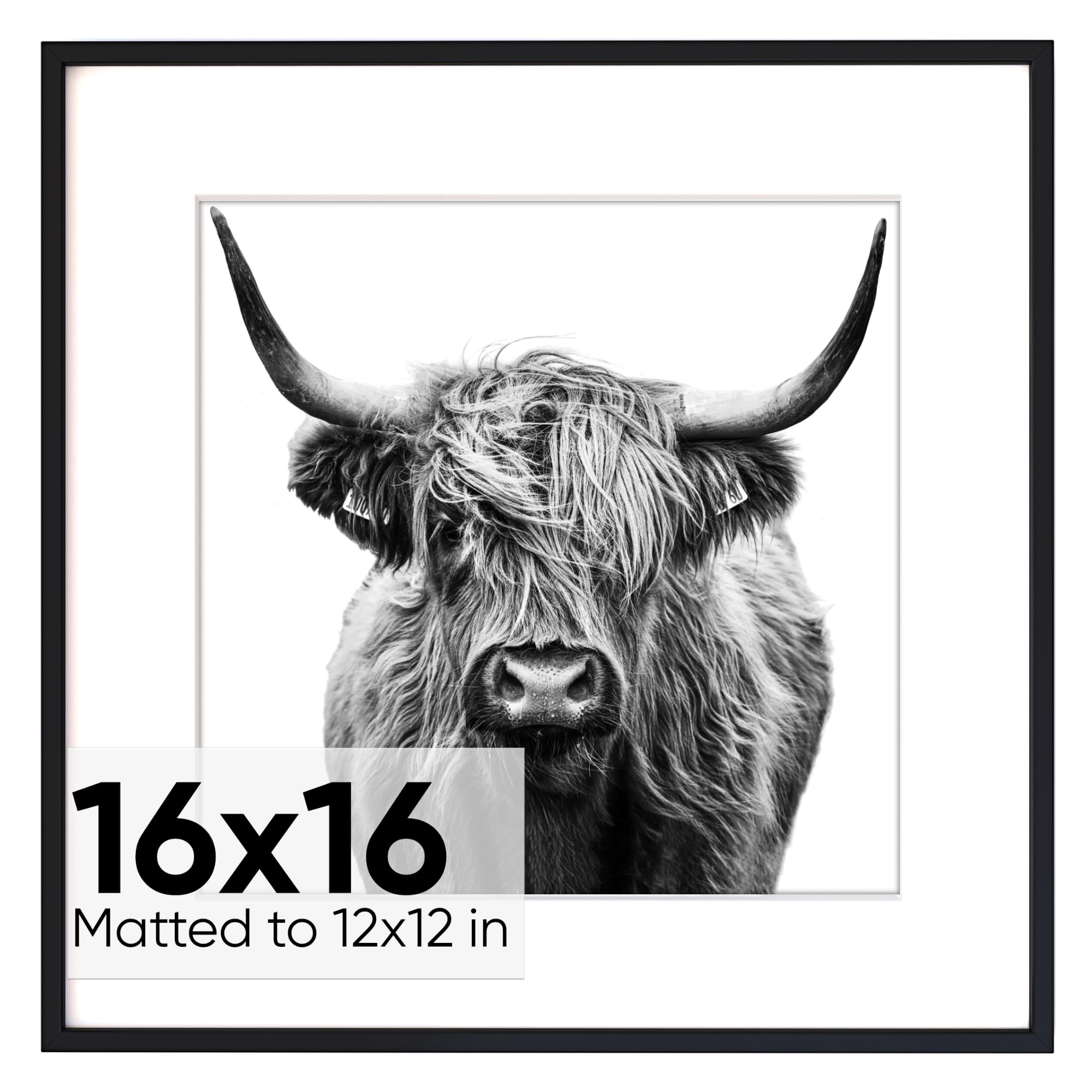 Homeforia 16x16 inch Square Picture Frame - 16 X 16 Frame Matted To 12x12 - Standard Square Photo Frames For 12 X 12 Picture- 12