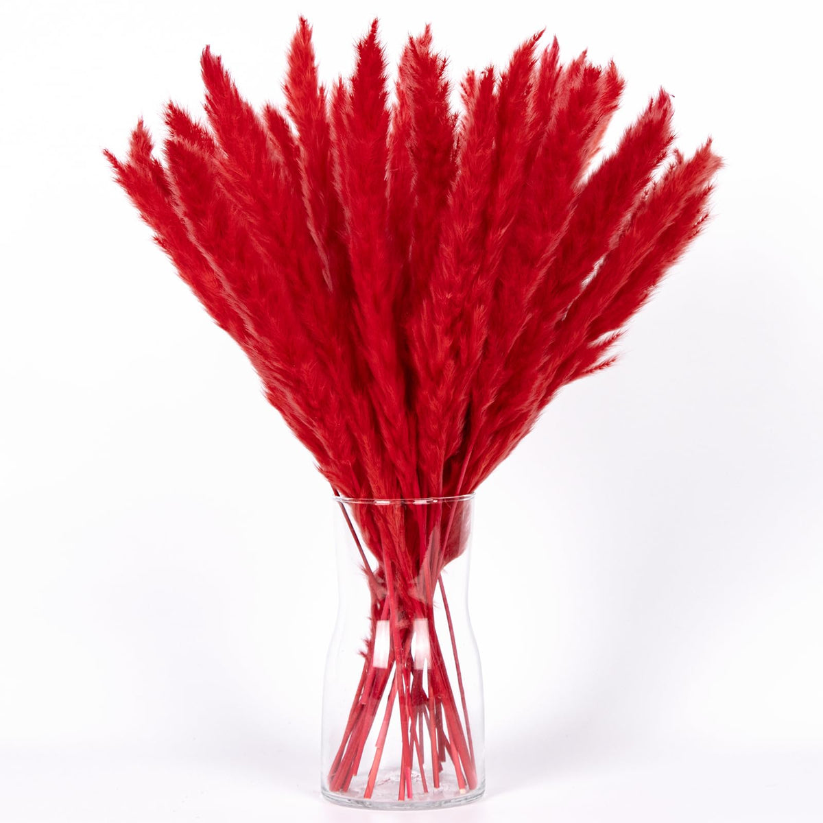 Hot Red Pampas Grass Bouquet 30Pcs 16-17In Xmfayuan,Reed Grass,Dried Flowers,Colorful Pampas Grass Dried Plant For Home Decor An