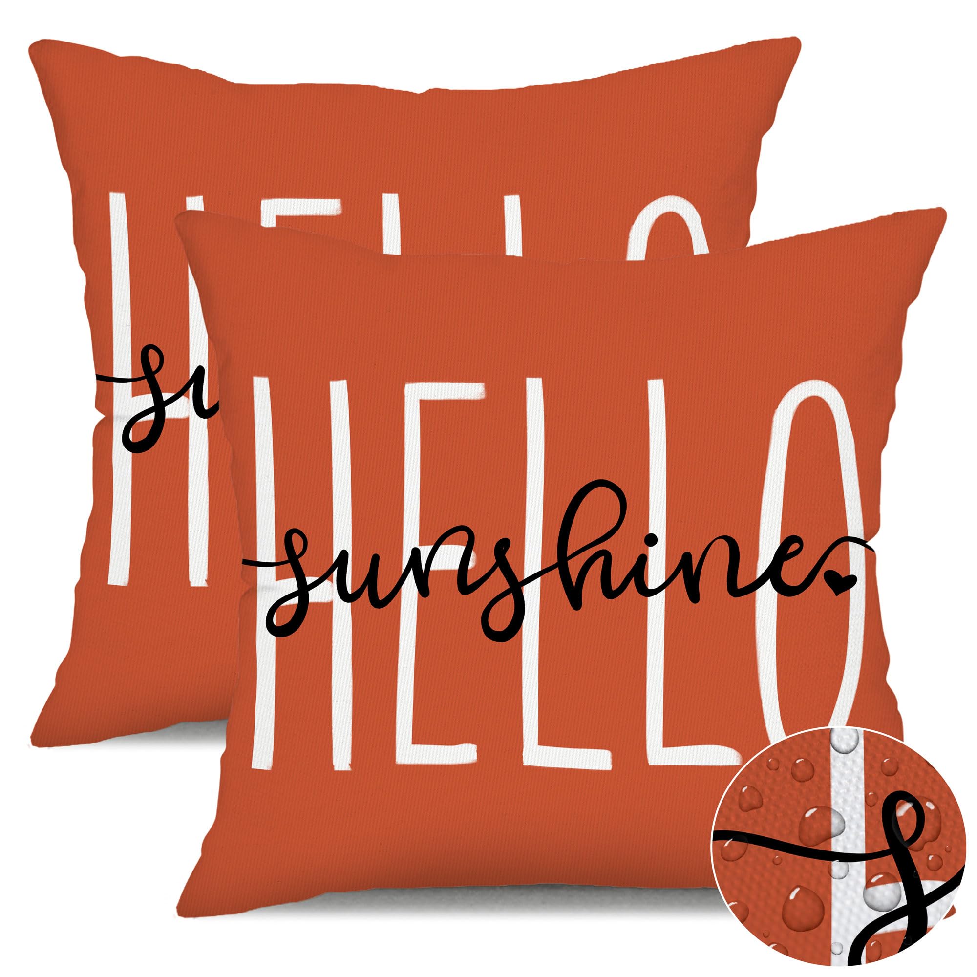 Dfxsz Outdoor Pillow Covers 18X18 Inch Set Of 2 Hello Sunshine Decor Dirty Orange Waterproof Throw Pillow Covers Summer Outdoor