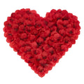 BESKIT 2100 PCS Dark Red Silk Rose Petals for Valentines Day, Wedding, Romantic Night, Party Flower Decorations