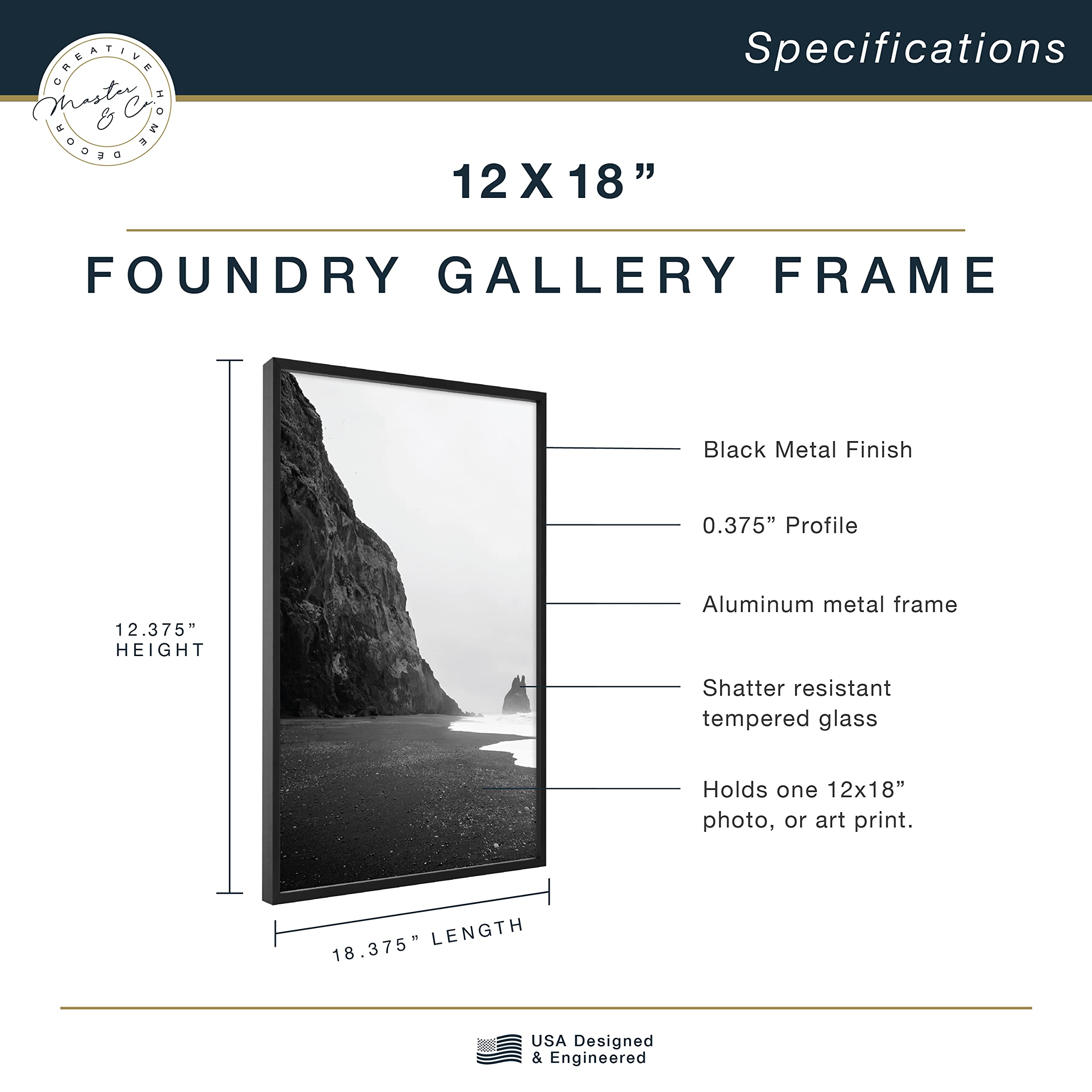 Mcs Master & Co. Foundry Metal Gallery Wall Frame, Black, 12X18 Inch