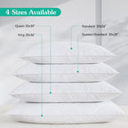 Three Geese White Goose Feather Bed Pillows Standard Size Set Of 1- Soft 600 Thread Count 100% Cotton, Medium Firm,Soft Support