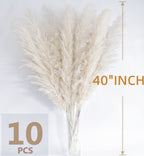 46'' Inch 10 Stems White Pampas Grass Decor Tall, Dry Flowers For Floor Vases Decor, Natural Dried Flowers For Wedding, Natural