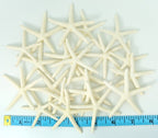 Starfish Decor - Star Fish For Craft - 20Pk Real 2-3'' White Sea Stars - Beach Wedding Decor - Coastal Party Decorations - Seash