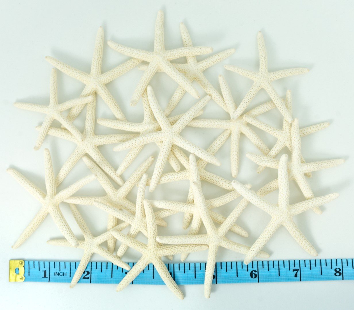 Starfish Decor - Star Fish For Craft - 20Pk Real 2-3'' White Sea Stars - Beach Wedding Decor - Coastal Party Decorations - Seash