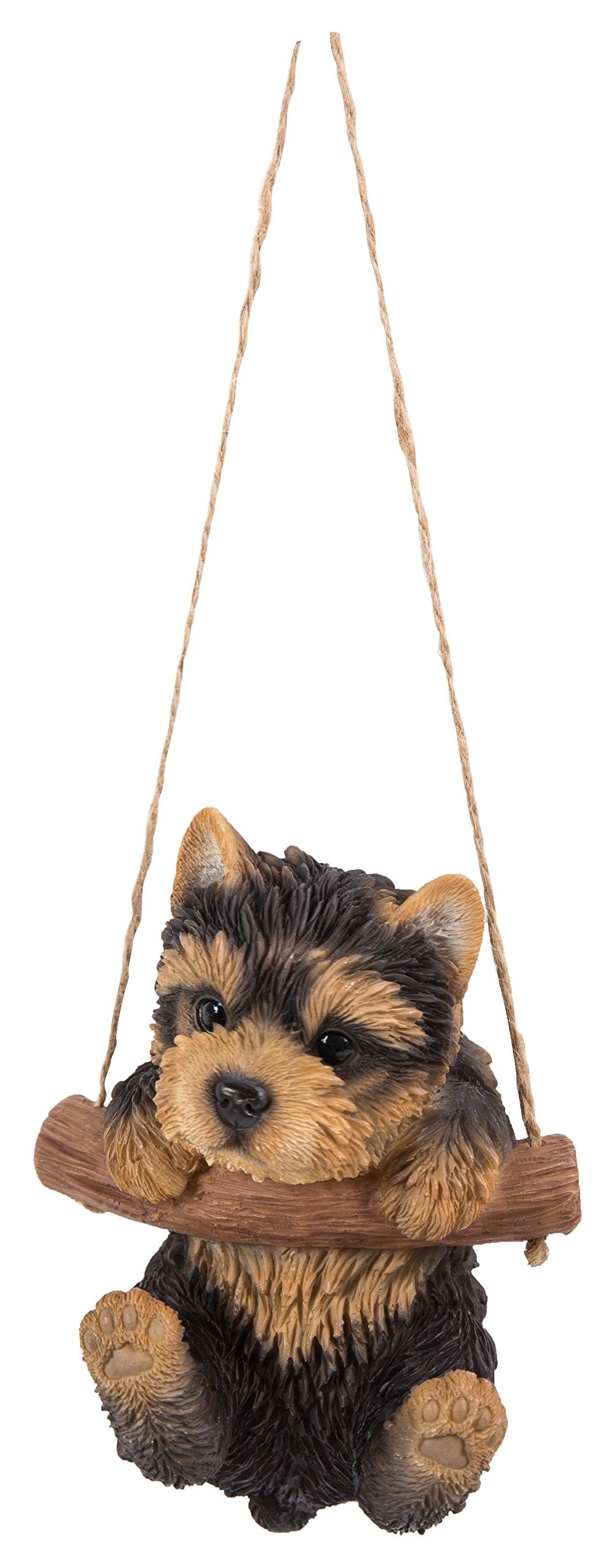 Hanging Yorkshire Terrier Puppy