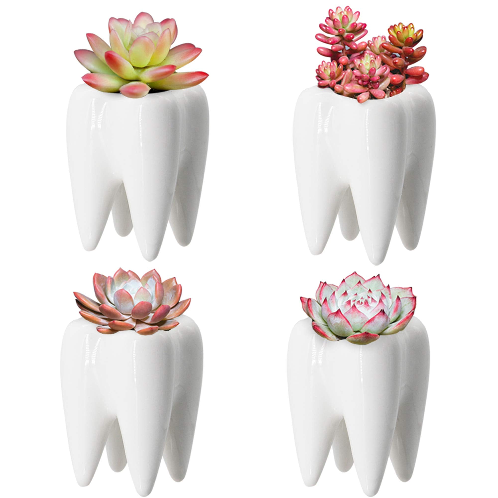 Yofit Modern Style Teeth Pots Ceramic Flower Pot, White Succulent Cactus Bonsai Planter Container Indoor, 3.7' Set Of 4