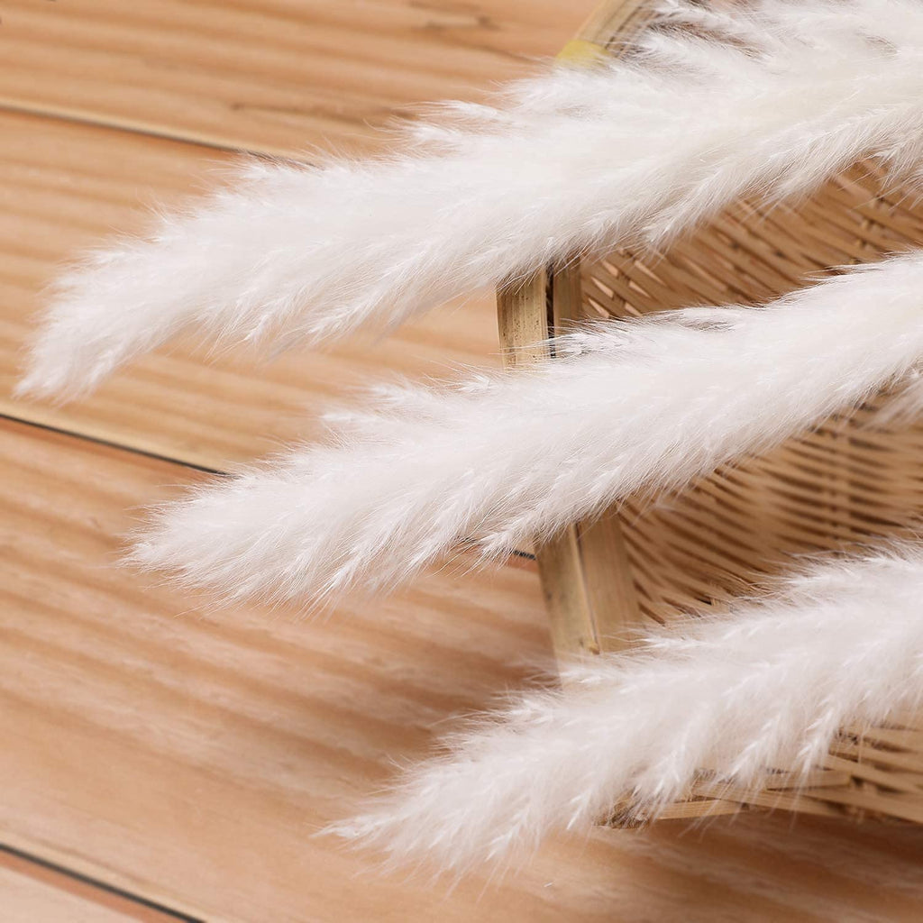 60 Pcs White Pampas Grass ,17 Inch/45 Cm Natural Dried Pampas Grass Branches Decor For Home Kitchen Garden Party Photographing F