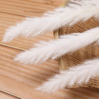 60 Pcs White Pampas Grass ,17 Inch/45 Cm Natural Dried Pampas Grass Branches Decor For Home Kitchen Garden Party Photographing F