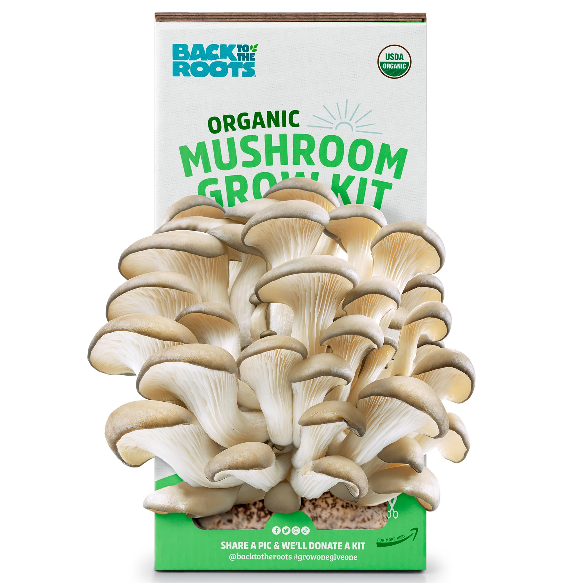 Back To The Roots Organic Mushroom Growing Kit. Diy Indoor Organic Oyster Mushroom Farm. Grow Edible Mushrooms At Home For Gourm
