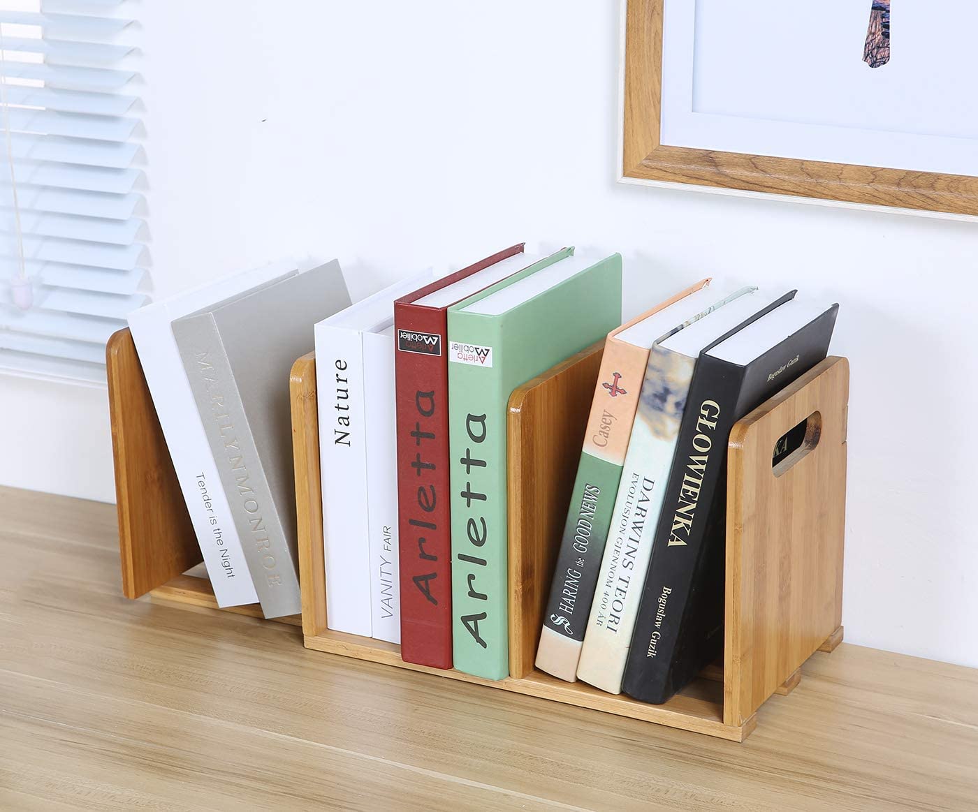 Salafey Expandable Desktop Bookshelf,Bamboo Desktop Bookcase,Mini Bookshelf Organizer Tabletop Bookshelf For Office Home Tableto