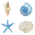 Yookeer 4 Pcs Beach Wall Decor Seashell Starfish Bathroom Decor Rustic Ocean Coastal Summer Themed Wall Art Gifts for Living Roo