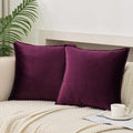 Jiahannha Velvet Purple Throw Pillow Covers Pack Of 2 Spring Decorative Soft For Couch Sofa Bed Livingroom Office 16  16 Inches