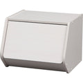 Iris Ohyama STB400D Color Box, Shelf, Bookshelf, Storage, Freely Combined, Stacked Box, With Door, Width 15.7 x Depth 15.3 x He