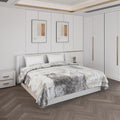 Monte Carlo Heavy Winter Double Bed Blanket Embassy 1 Ply 928 GSM | 5 KG (Width 2.20 M X Length 2.40 M) Grey