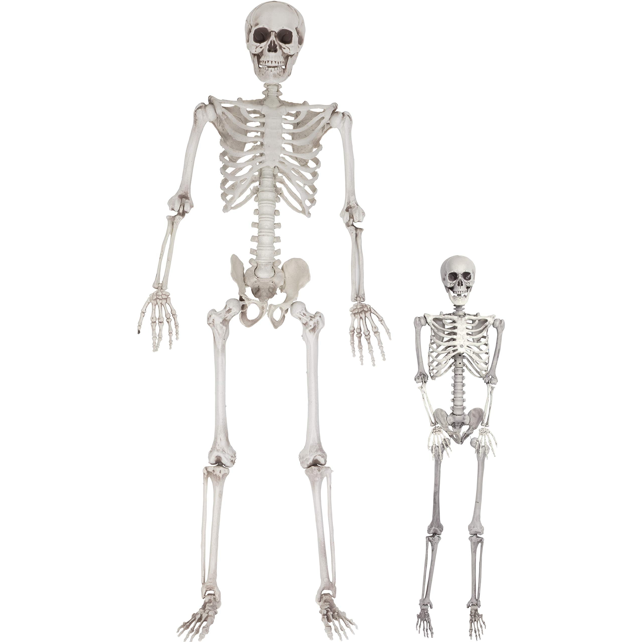 Life Size Skeleton Halloween Decoration Value 2 Pack -Adult (5' 4') & Child (2') Weather Resistant For Indoor/Outdoor - Upgrade
