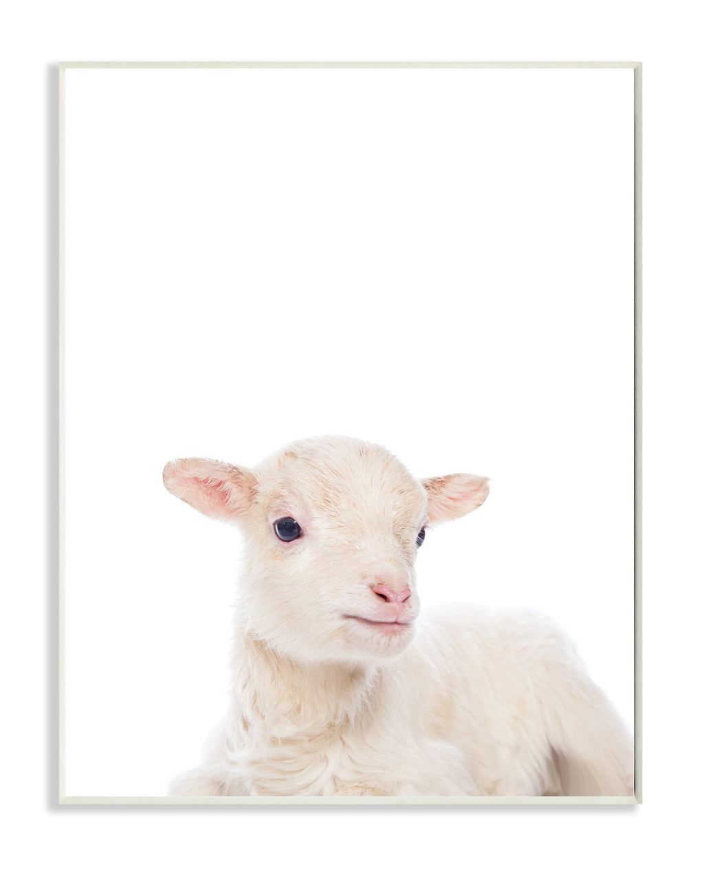 Stupell Home D  cor Baby Lamb Studio Photo Wall Plaque Art, 10 x 0.5 x 15, Proudly Made in USA