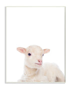 Stupell Home D  cor Baby Lamb Studio Photo Wall Plaque Art, 10 x 0.5 x 15, Proudly Made in USA