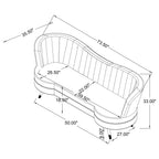 Coaster Sophia 2-Piece Sofa Set, Blue