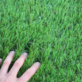Ws Artificial Grass Turf 5Ftx8Ft,1,38Inch 4 Tone Realistic Synthetic Thick Fake Faux Grass Rug Astroturf Carpet Landscape For Do