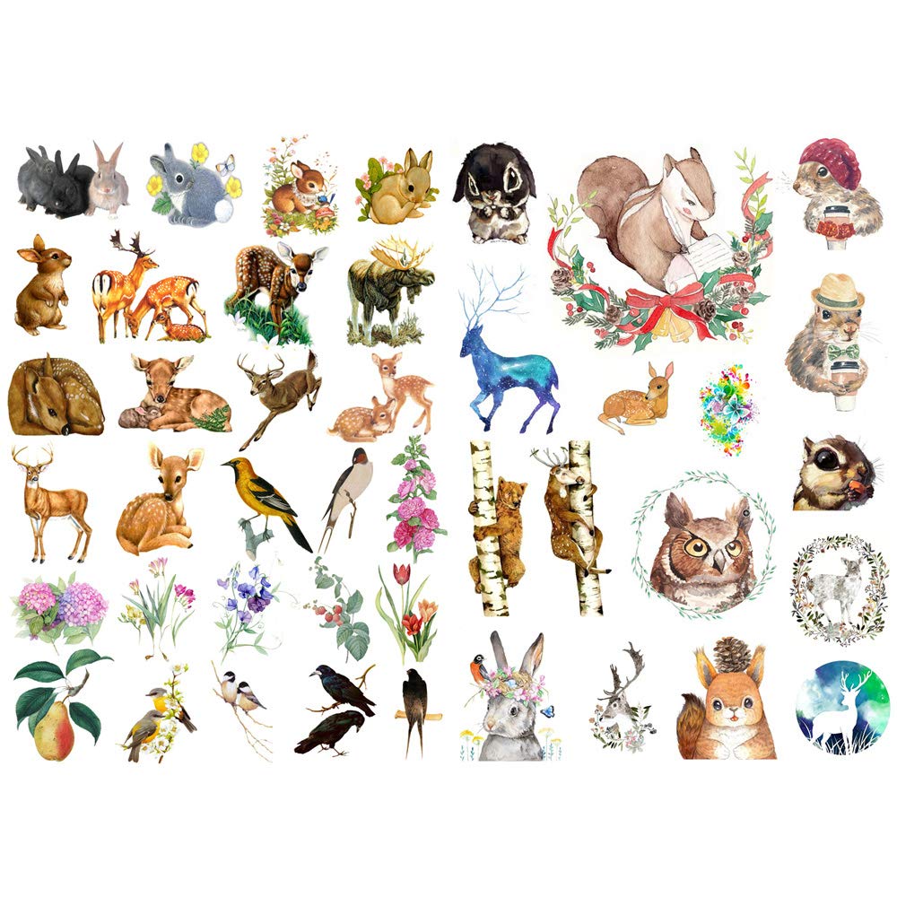 Seasonstorm Forest Animal Kawaii Aesthetic Happy Planner Diary Journal Stationery Scrapbooking Stickers Travel Art Supplies