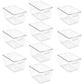 Sorbus Clear Storage Bins for Pantry Organization (Large, 10 Pack)