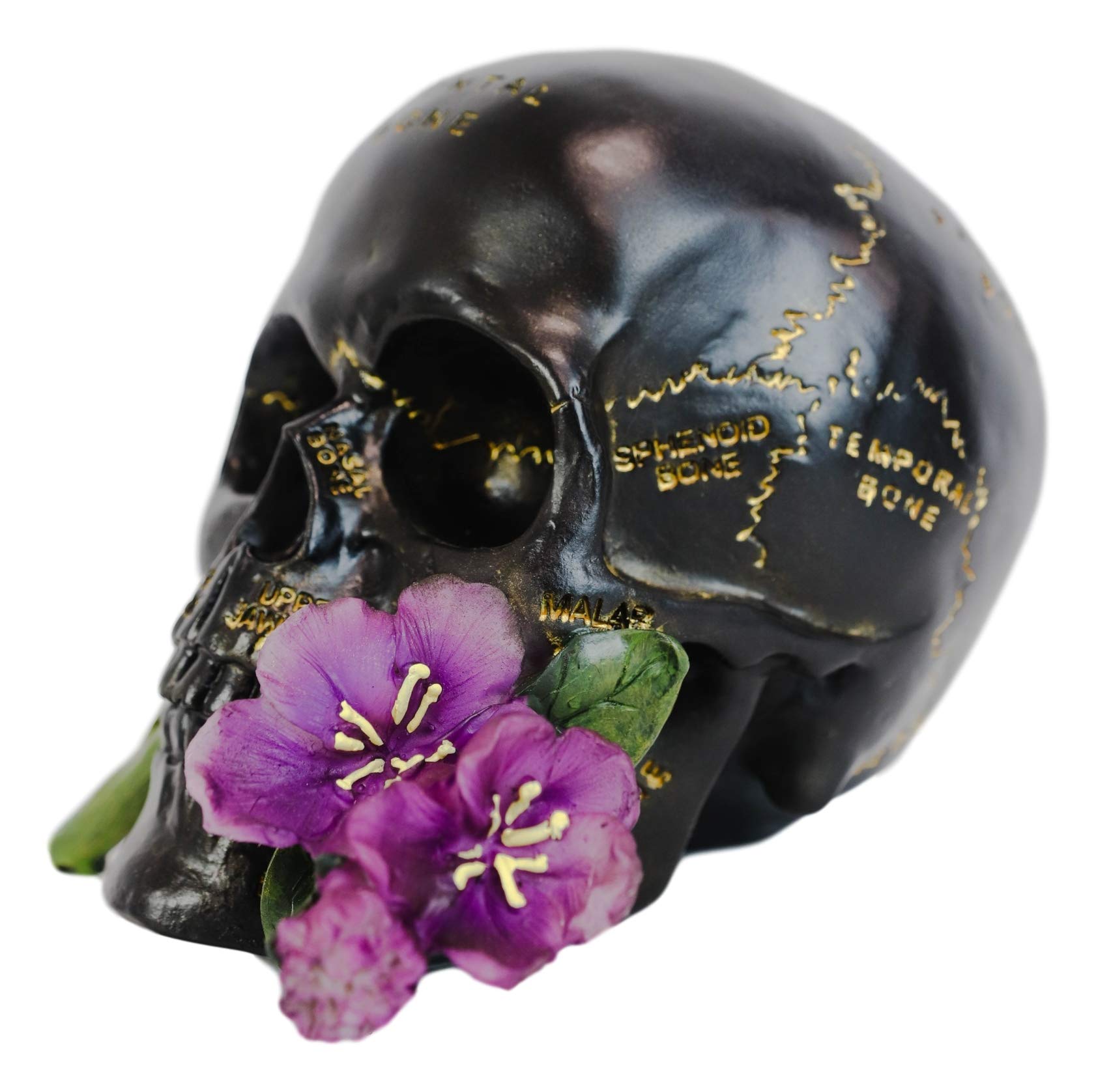 Ebros Black And Gold Paranormal Witch Romantic Lobotomy Brain Anatomy Skull With Purple Flower Statue 6.5'' Long Supernatural Oc