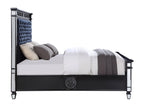 Acme Varian II Queen Bed in Dark Navy Velvet and Black and Silver