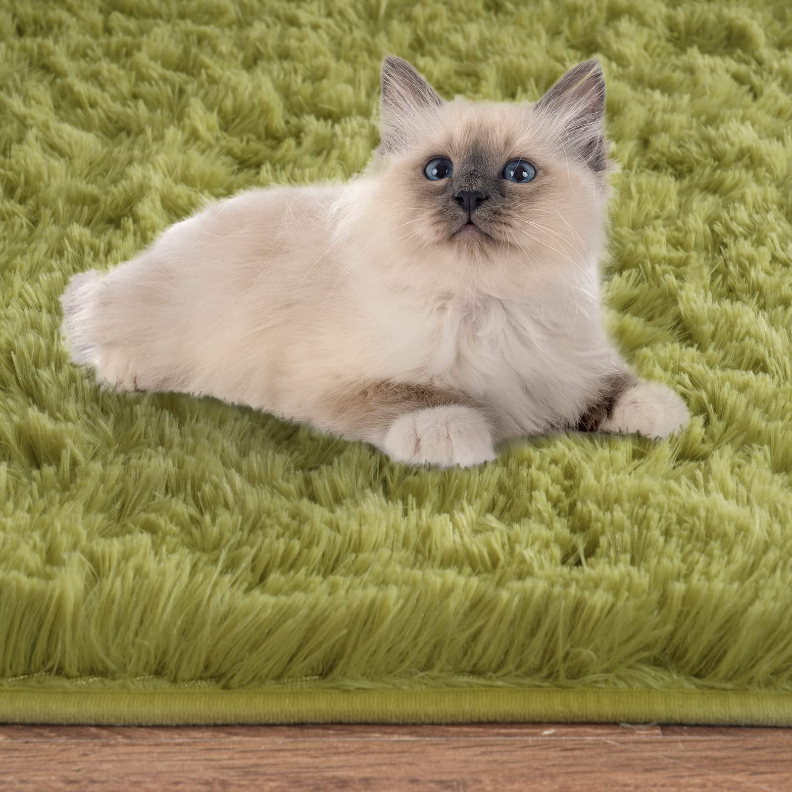 Iseau Oval Fluffy Rug Carpets, Modern Plush Shaggy Area Rug For Kids Bedroom Extra Comfy Cute Nursery Rug Bedside Rug For Boys G