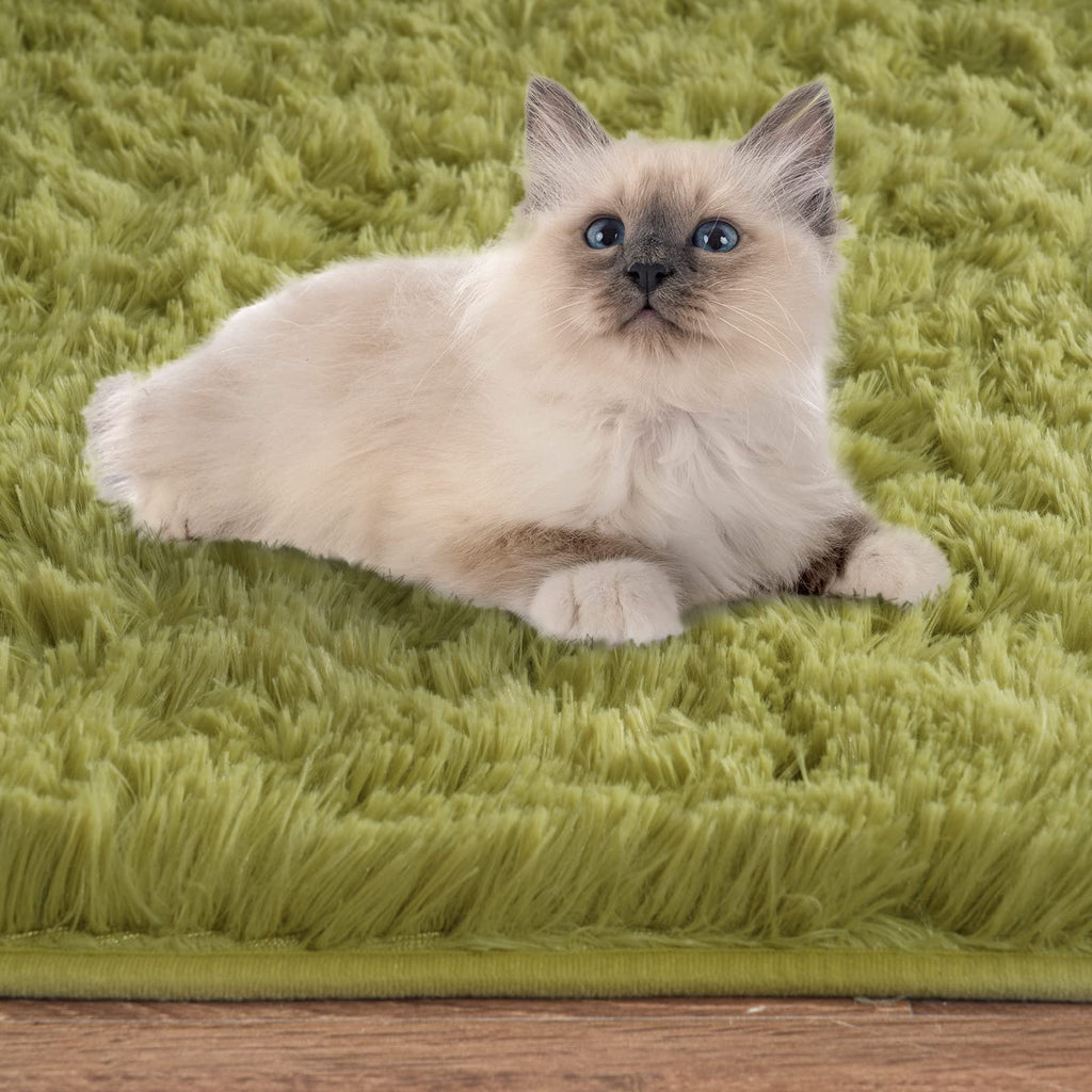 Iseau Oval Fluffy Rug Carpets, Modern Plush Shaggy Area Rug For Kids Bedroom Extra Comfy Cute Nursery Rug Bedside Rug For Boys G