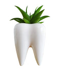 Cuteforyou Succulent Pots,Cute 3.93 Inches Tall Tooth Shaped Ceramic Indoor Air Plant Holder Flower Planters-Plants Not in Inclu