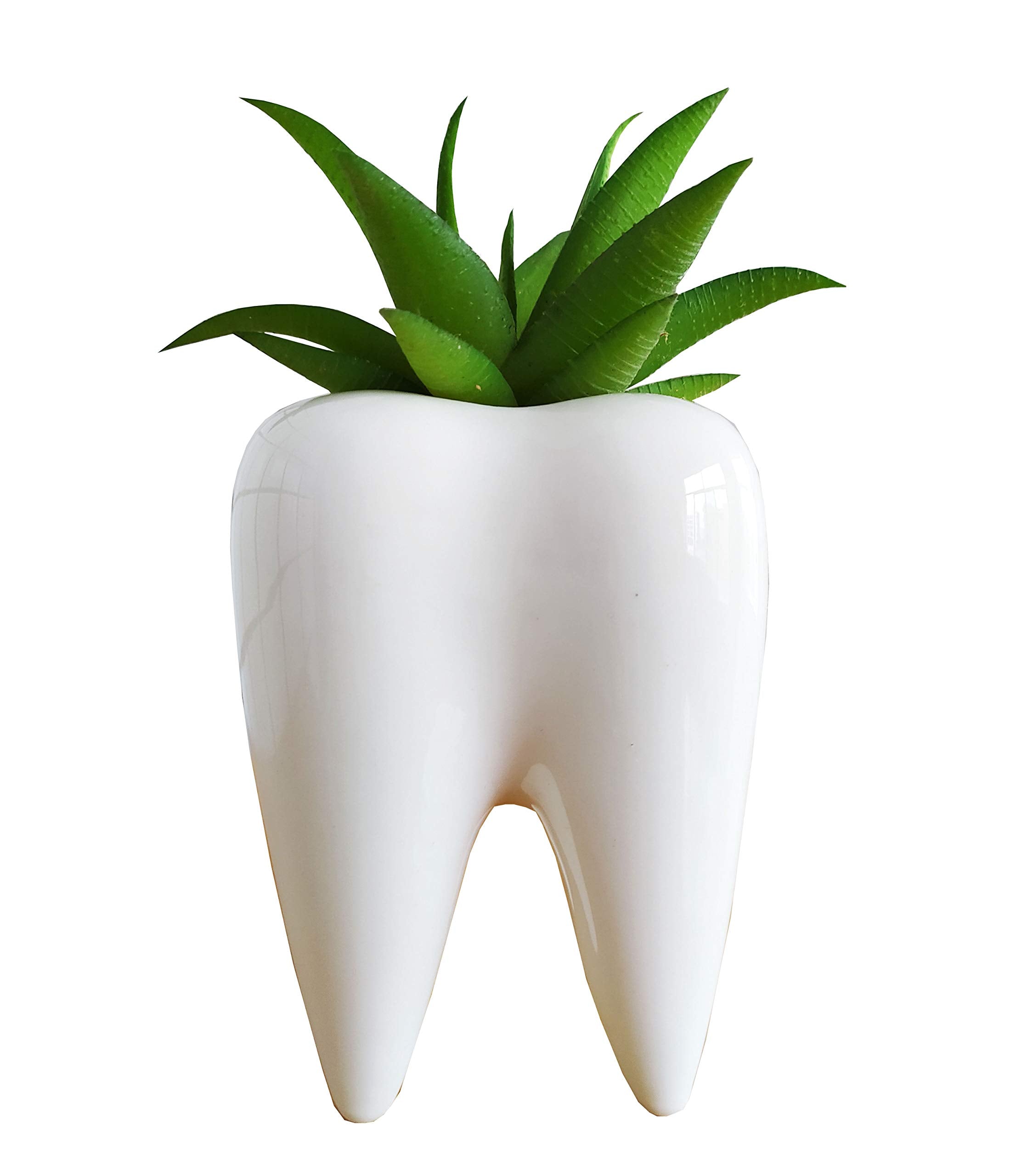 Cuteforyou Succulent Pots,Cute 3.93 Inches Tall Tooth Shaped Ceramic Indoor Air Plant Holder Flower Planters-Plants Not in Inclu