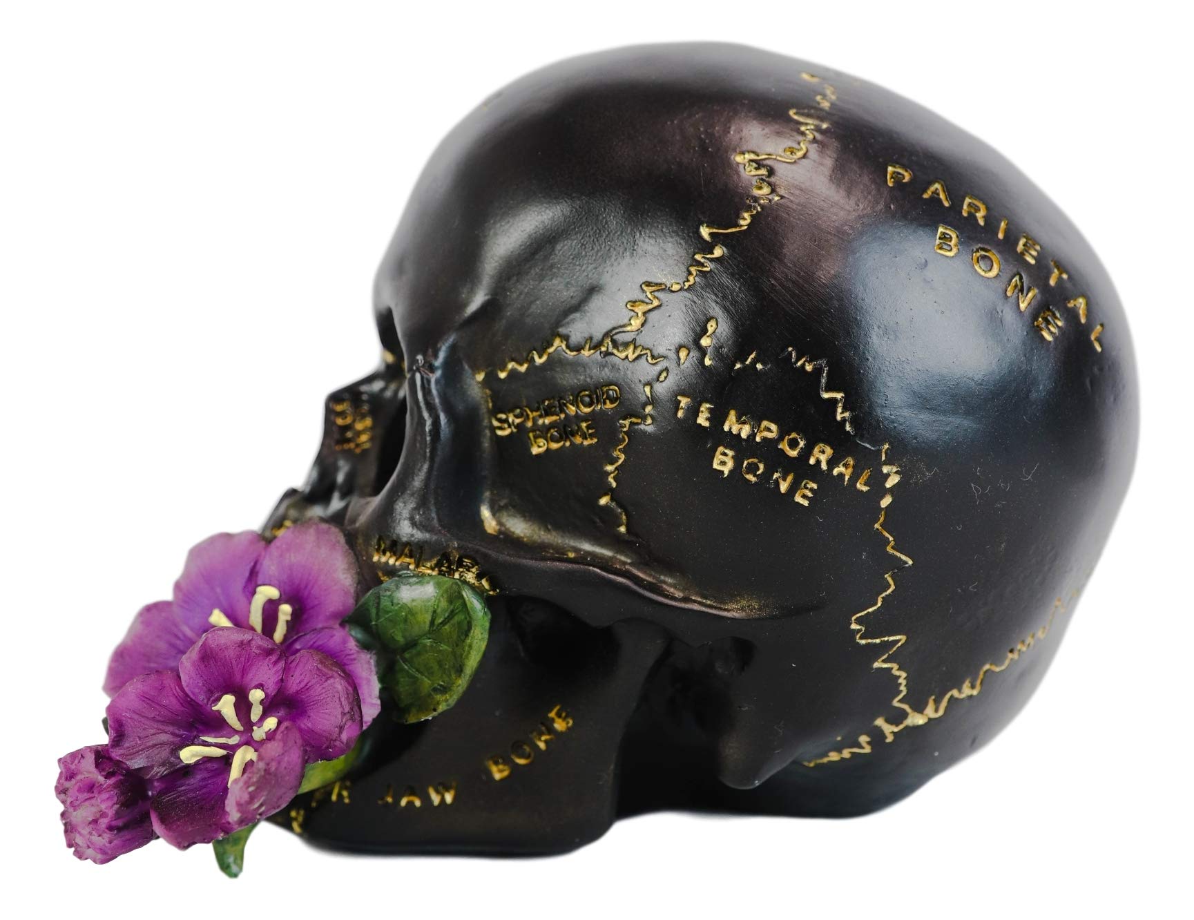 Ebros Black And Gold Paranormal Witch Romantic Lobotomy Brain Anatomy Skull With Purple Flower Statue 6.5'' Long Supernatural Oc