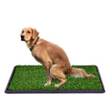 Lomantown Dog Potty Artificial Grass Potty Trainer, Fake Grass Pad 3 Layered System Dog Litter Box For Puppy Training (30 X 20 G