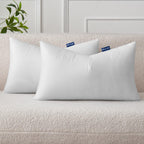 Miulee Set Of 2 Throw Pillow Inserts 12X20 Inches, Nowoven Decorative Pillow Inserts For Living Room