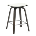 Modern Style Dark Walnut color in White