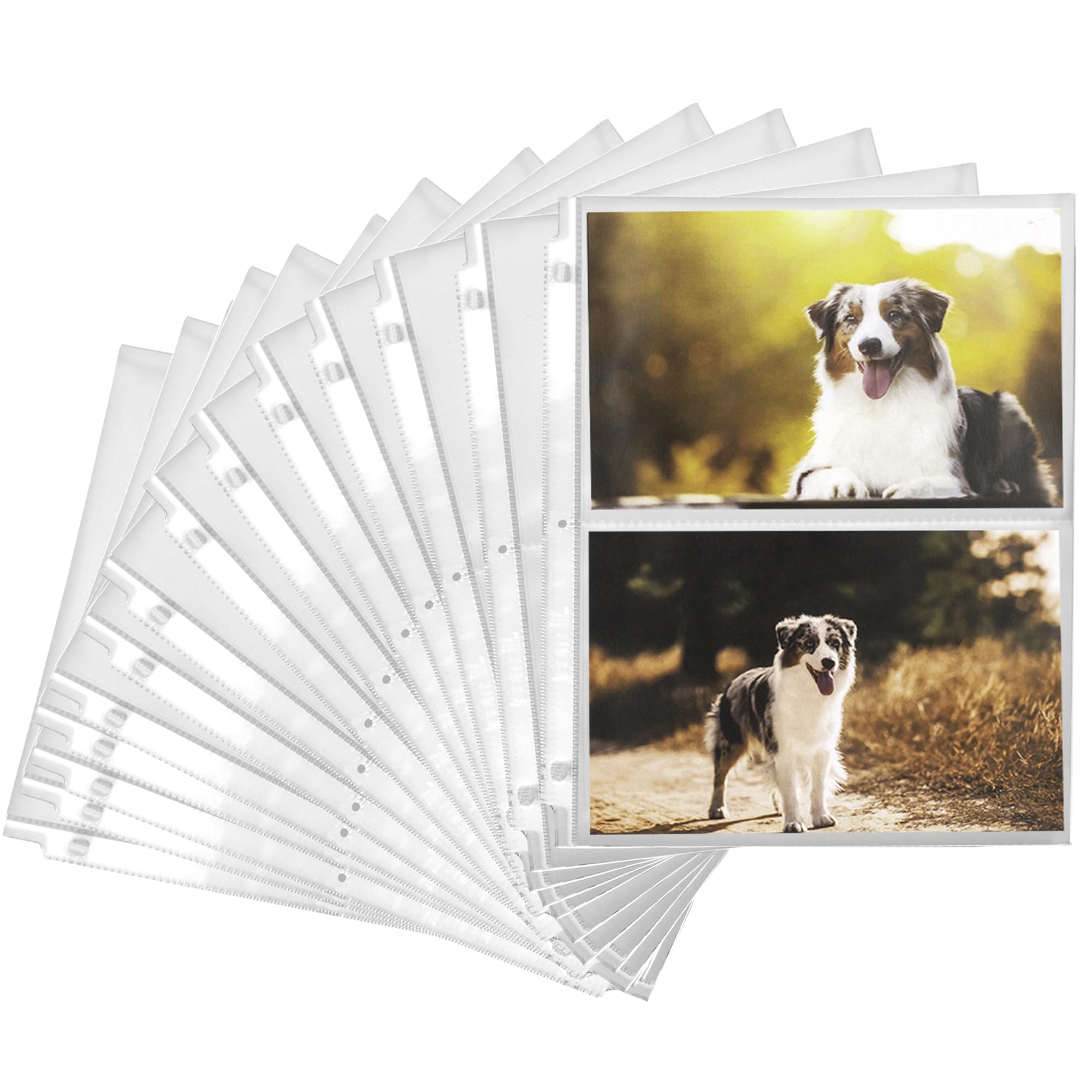 Samsill 100 Pack 5X7 Photo Album Refills, 100 Pictures, 3-Ring Binder Photo Sleeve Inserts, 2 Pocket Photo Page For 5X7 Photogra