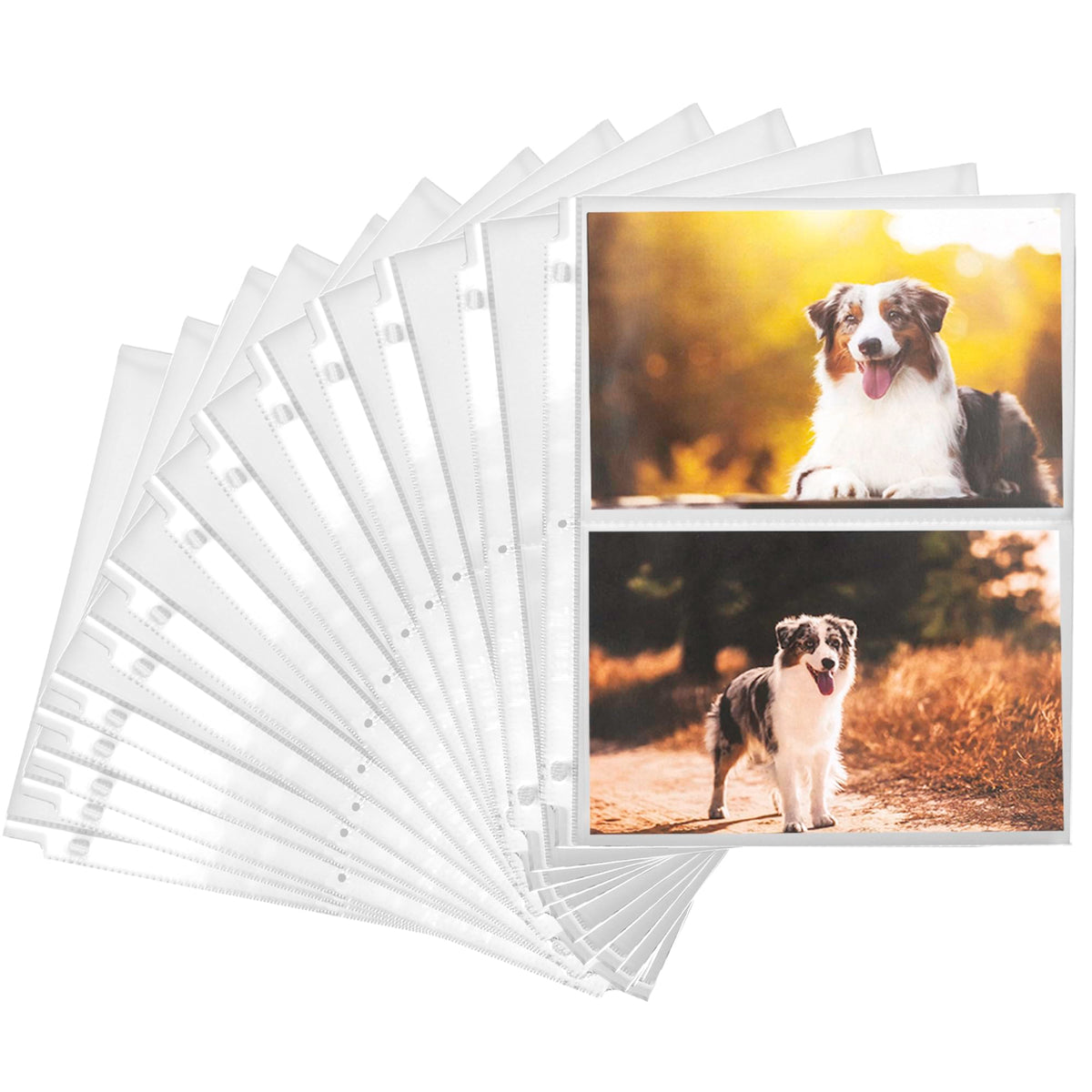 Samsill 100 Pack 5X7 Photo Album Refills, 100 Pictures, 3-Ring Binder Photo Sleeve Inserts, 2 Pocket Photo Page For 5X7 Photogra