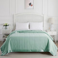 COMFLIVE Queen Blanket with Satin Trim, Bed Blanket for All Seasons - Winter Summer Comfort Soft (Green, Full/Queen)