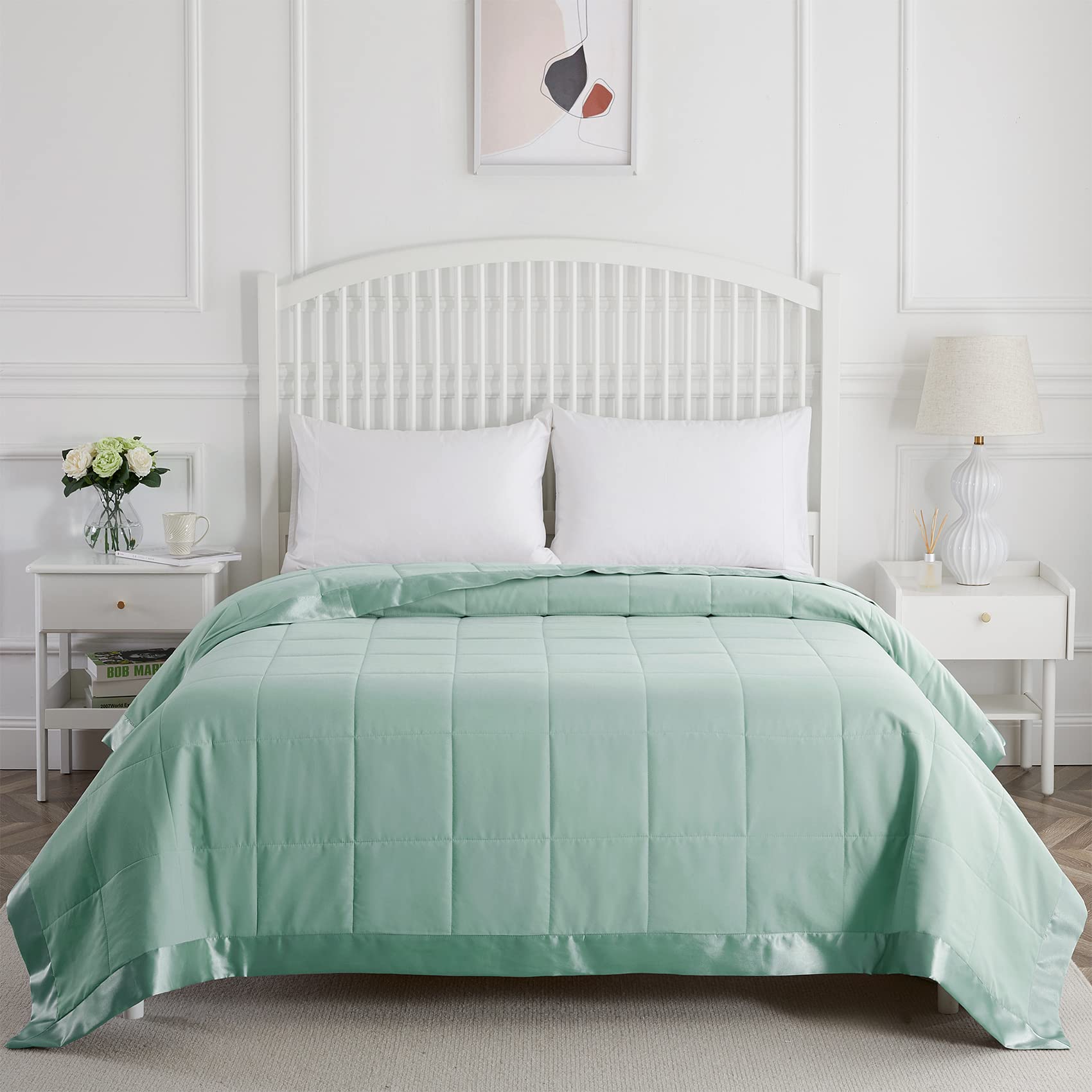 COMFLIVE Queen Blanket with Satin Trim, Bed Blanket for All Seasons - Winter Summer Comfort Soft (Green, Full/Queen)