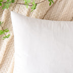 Emema Pack Of 2 Velvet Pillow Covers Decorative Square Pillowcase Soft Solid Cushion Case For Sofa Bedroom Car 16X16 Inch White