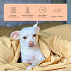 Peachskinsheets Harvest Gold Sheet Set - 1500Tc Level Of Softness - Extra Soft Cooling Sheets For Hot Sleepers And Night Sweats