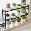2 Pack Expandable Narrow Tall Storage Shelf with AntiDetach Buckle