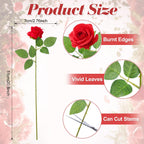 Hoemwarm 36 Pcs Red And White Rose Artificial Roses Flowers Bouquet Centerpiece,Fake Silk Rose Stem Realistic Artificial Flowers