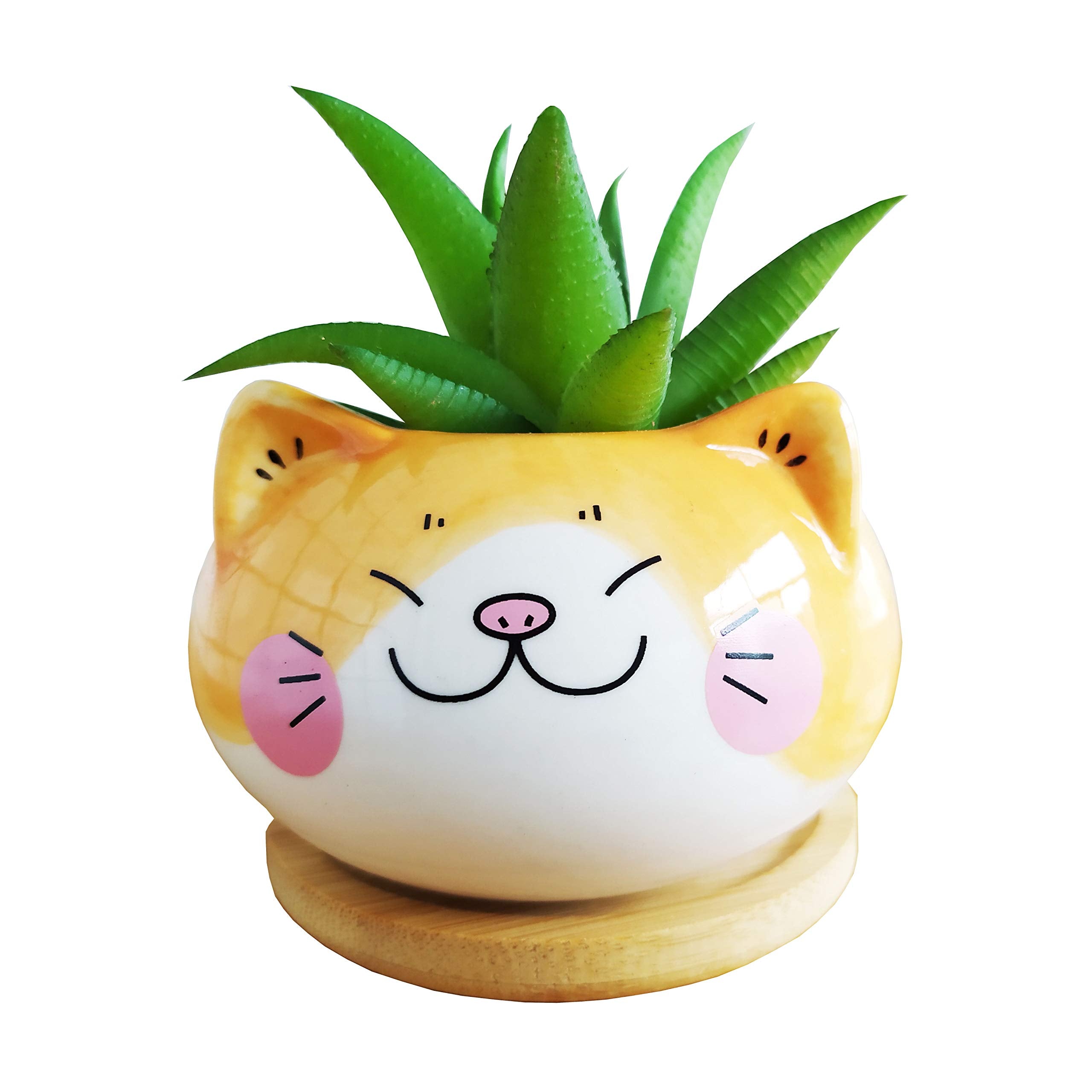 Cuteforyou Cute 3.5 Inches Indoor Cartoon Animal Cat Shaped Ceramic Succulent Cactus Flower Plant Pots With Bamboo Tray (Plant N