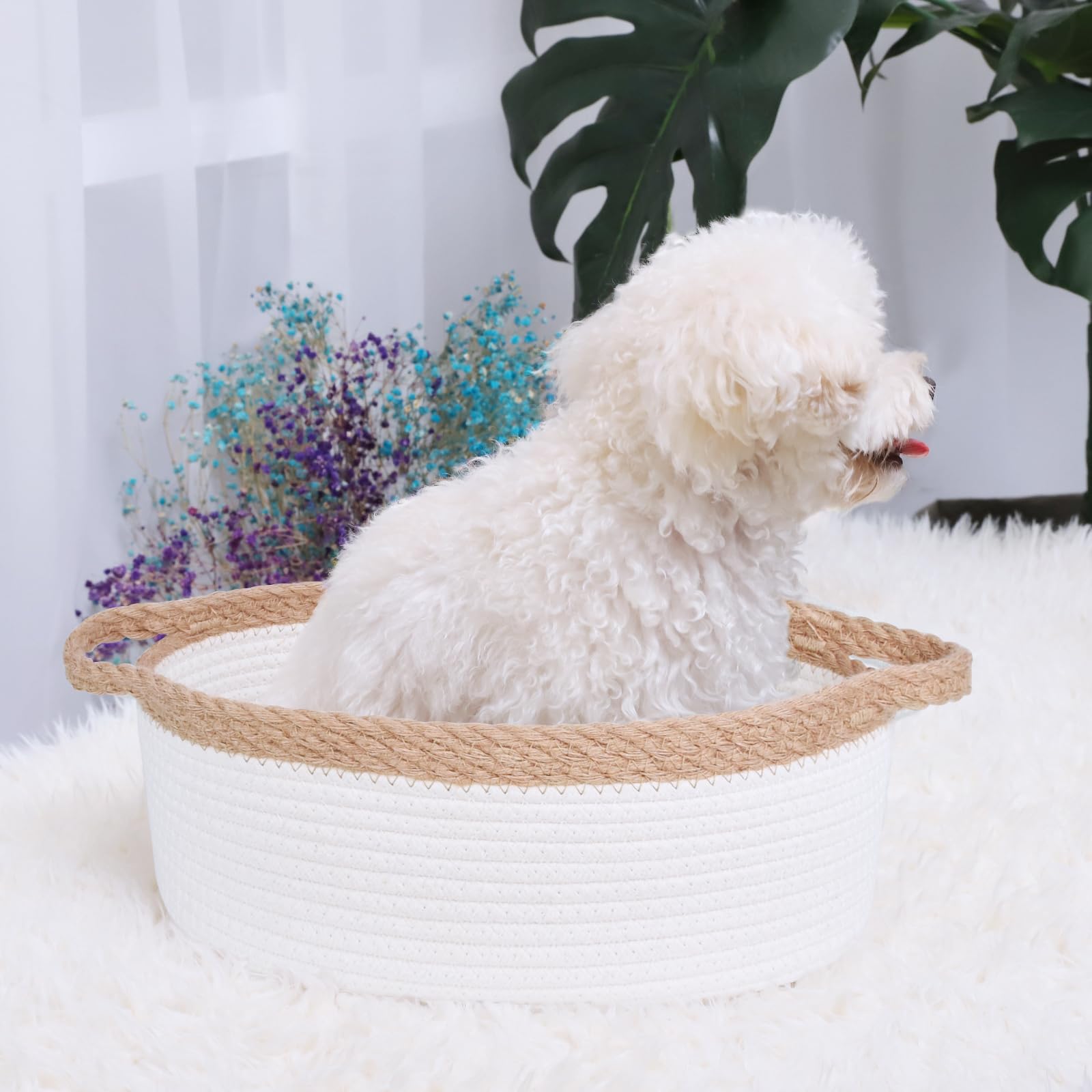 Abenkle Small Woven Basket, 12'X 8' X 5' Cute Small Basket, Rope Room Shelf Storage Basket, Cat Dog Toys Basket Chest Box, Em