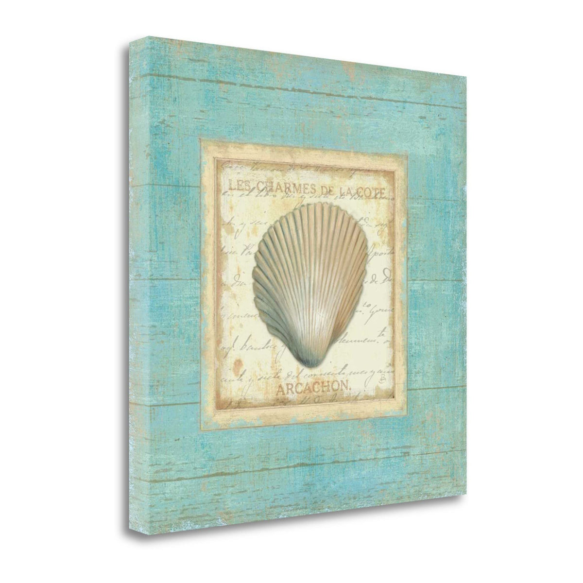 24' Stylish French Seashell Print on Gallery Wrap Canvas Wall Art