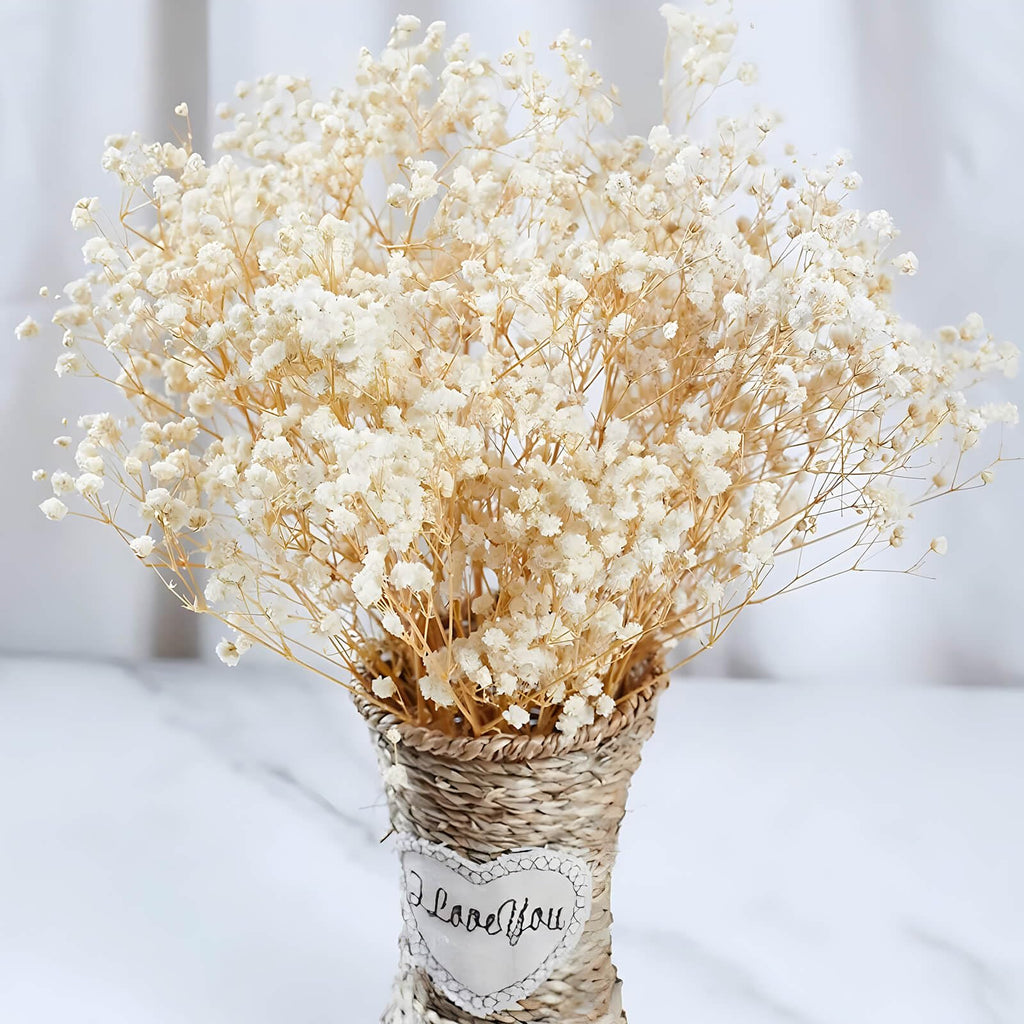 2000+ Dried Babys Breath Flowers Bulk - 17'' Ivory White Dried Flower Bouquet, Real Natural Gypsophila Branches for Vase Filler,