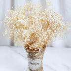 2000+ Dried Babys Breath Flowers Bulk - 17'' Ivory White Dried Flower Bouquet, Real Natural Gypsophila Branches for Vase Filler,